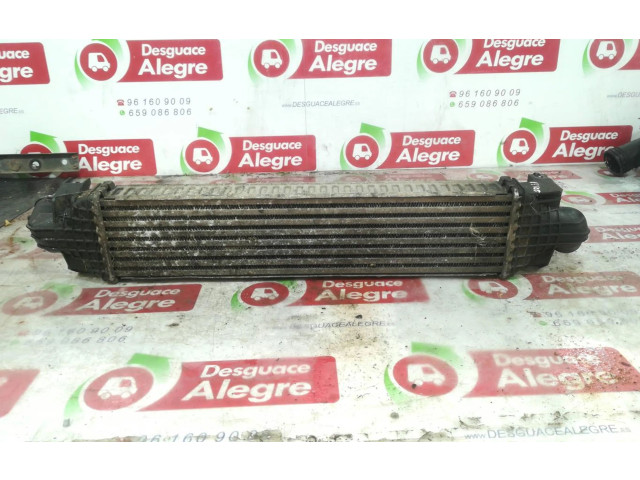 Интеркулер     Fiat Punto (199) 