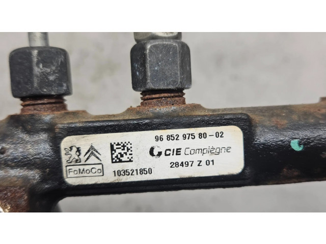 Vstřikovací lišta 9685297580, 28497Z01 Ford C-MAX I pro naftový motor 1.6