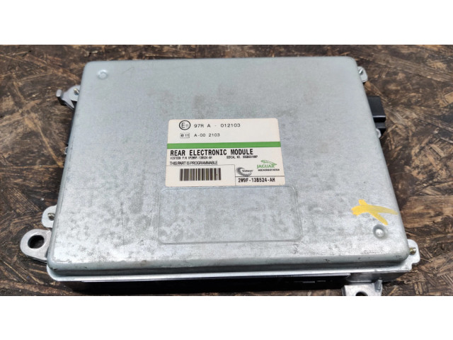 Блок управления 2W9F13B524AH, 2W9F14A638BA Jaguar XJ X350
