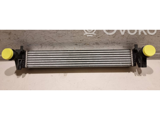 Интеркулер 2Q0145805A, 8F8500000 Volkswagen Golf VIII