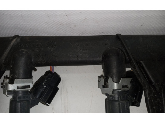 Топливная рампа 9676020480   Citroen C3  