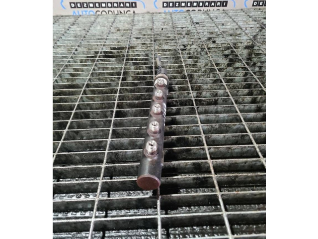 Vstřikovací lišta 96868901, R9144Z300A Chevrolet Captiva Z22D1