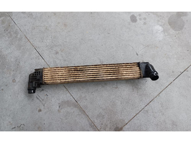 Интеркулер     Dacia Duster 