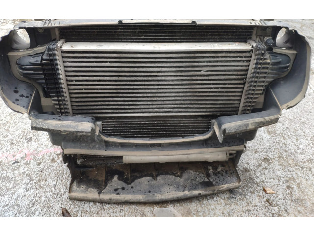 Интеркулер     Mercedes-Benz R W251 