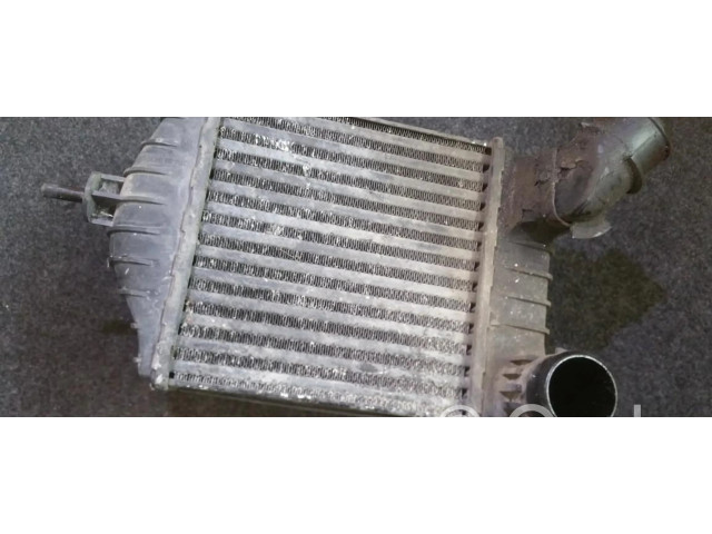 Интеркулер     Fiat Punto (188) 1.9