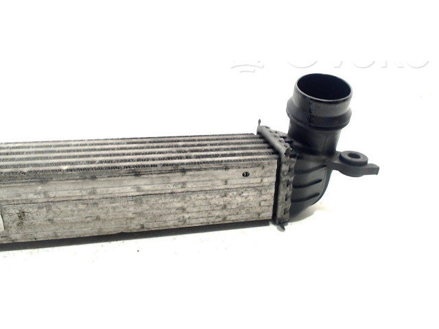 Интеркулер 1751850690401 Mini Paceman (R61)