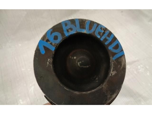 Píst 619 Citroen Berlingo