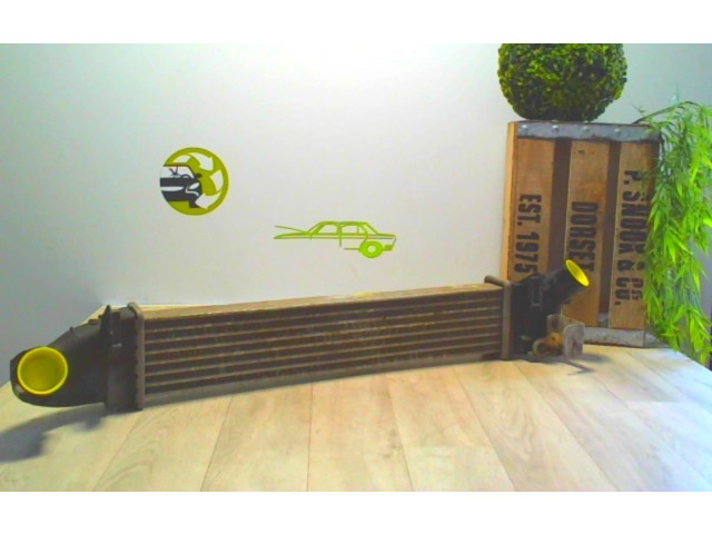 Интеркулер 6001548727, 6001548727 Dacia Logan I