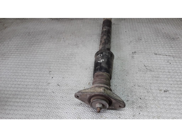 Задний aмортизатор      