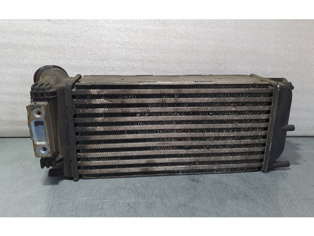 Интеркулер     Citroen Berlingo 1.6