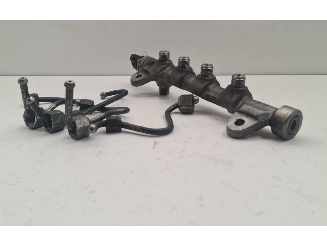 Топливная рампа 55234039, 324089 Fiat Freemont для двигателя 939B5000