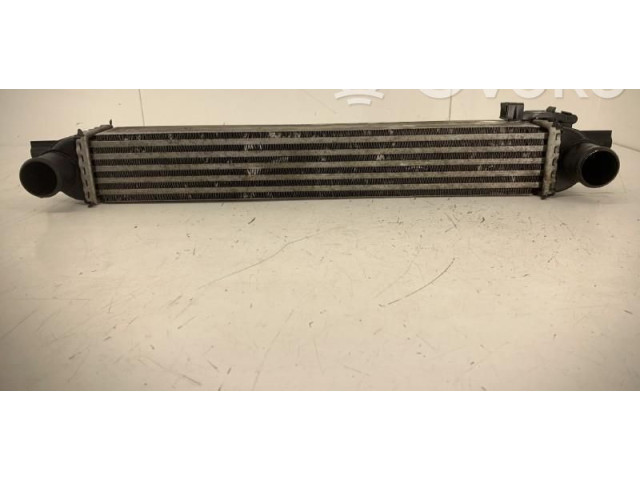 Интеркулер  00000384L7   Citroen Nemo 