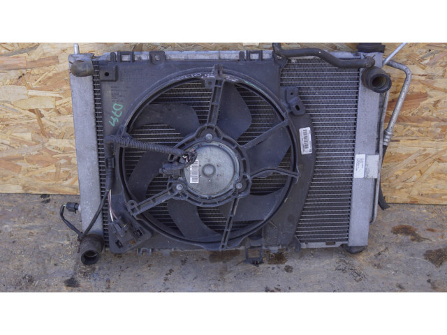 Комплект радиатора    Renault  Clio III  2005 - 2012 года