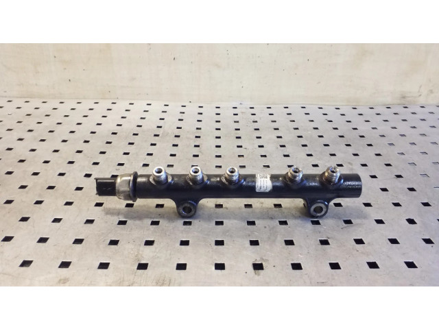 Топливная рампа 9807070880, 9664111780   Citroen DS4 1.6 