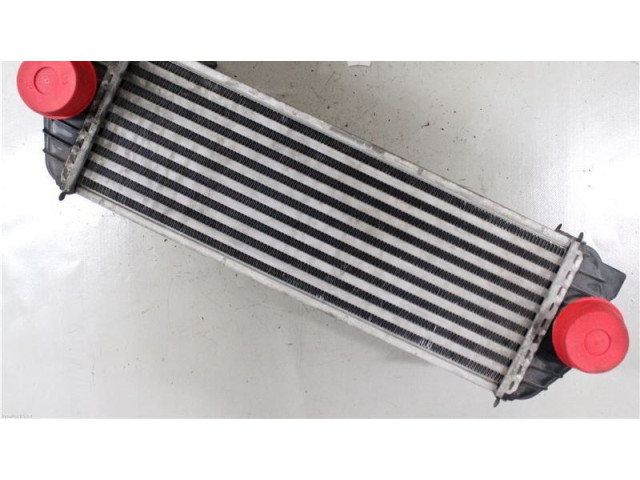 Интеркулер     Ford Transit -  Tourneo Connect 