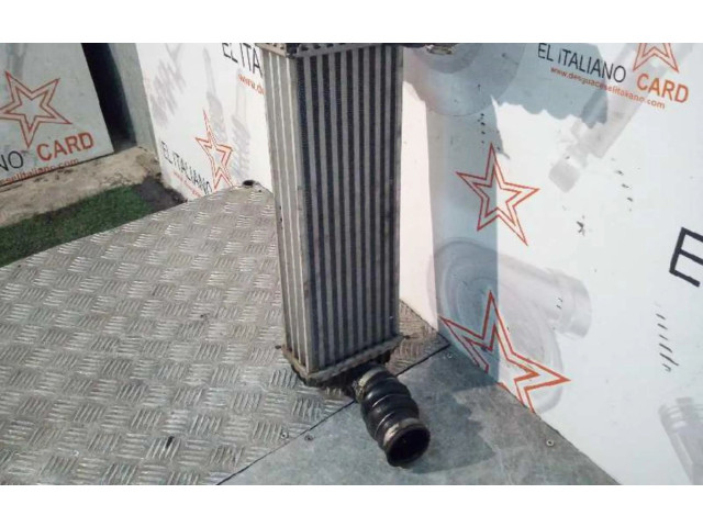 Интеркулер     Ford Transit -  Tourneo Connect 