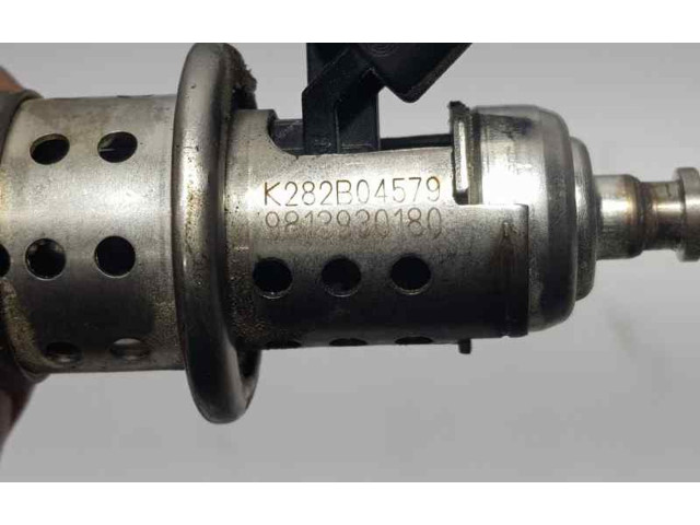 Форсунка 9813930180    Citroen C3 Aircross  YH01 