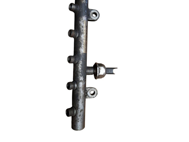 Vstřikovací lišta 9645689580, 5WS40041 Peugeot 307