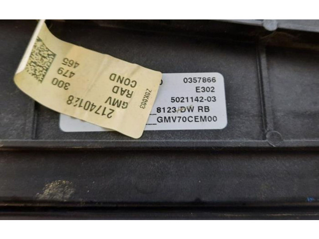 Комплект вентиляторов     9832930080    Peugeot Partner III 