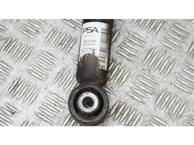 Задний aмортизатор      