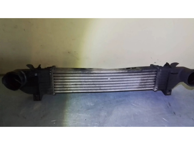 Интеркулер A2205000000, 20198 Mercedes-Benz S W220 3.2