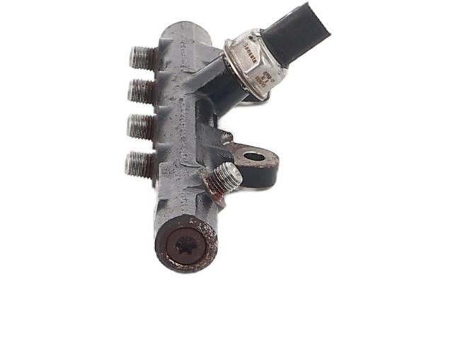 Vstřikovací lišta 175210651R Renault Megane IV K9K_657