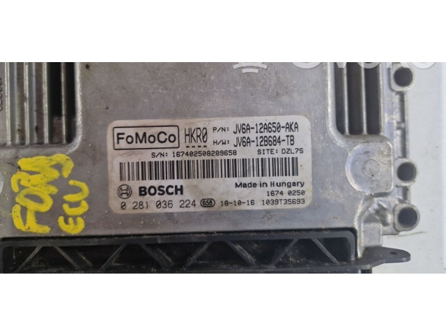 Блок управления двигателем Блок управления JV6A12B684TB, 0281036224 Ford Transit - Tourneo Connect