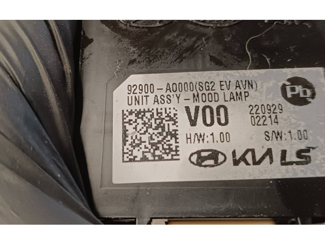 Блок управления 92900AO000, 220929 KIA Niro