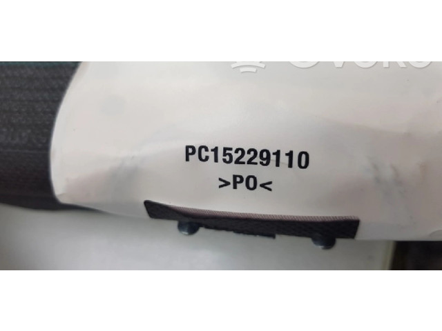 Боковая подушка безопасности 985P18841R, 985P18841R   Renault Clio III