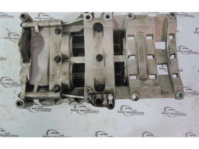 Čerpadlo oleje 6237442, 195KM KIA Carnival