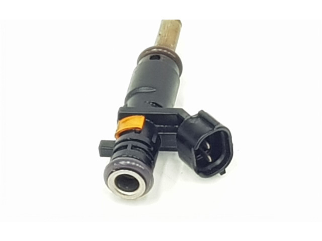 Форсунка 166008992R, 166008992R    Dacia Dokker   