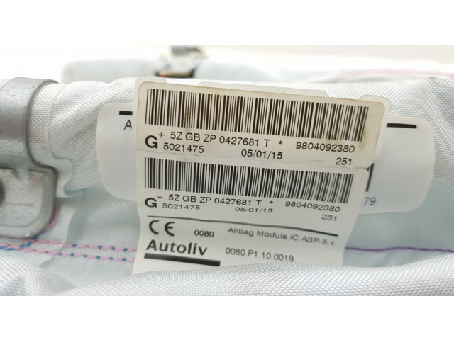 Боковая подушка безопасности 9804092380 Peugeot 2008 I