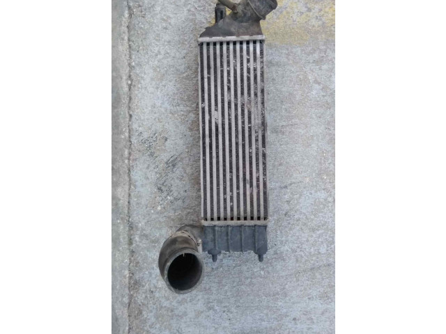 Интеркулер 1489396080 Citroen C8