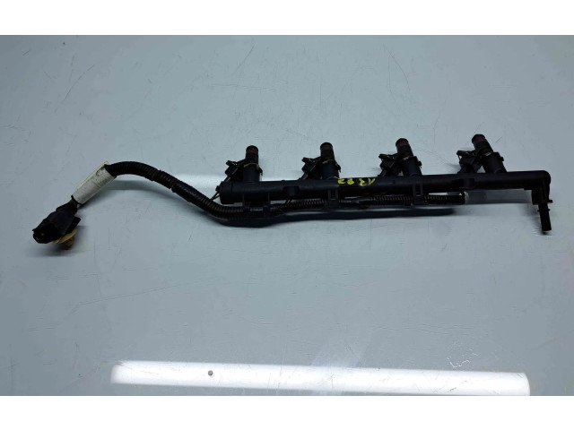 Топливная рампа 8200135504   Renault Megane III  