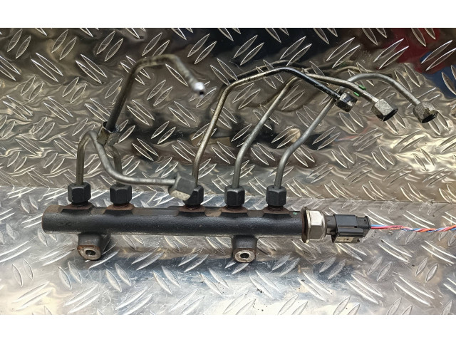 Топливная рампа 9685297580, 28497Z01 Citroen C4 II Picasso