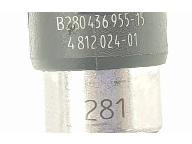 Форсунка 13534812024, 4812024 BMW X3M F97