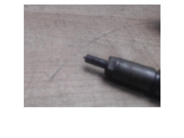 Vstřikovač Citroen C3