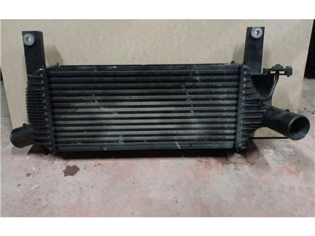 Интеркулер Nissan Pathfinder R51