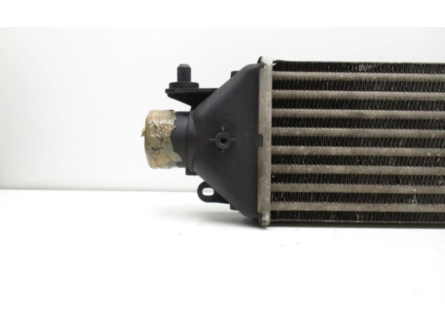 Интеркулер     Fiat Punto (199) 