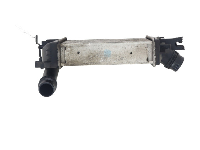 Интеркулер Dacia Sandero