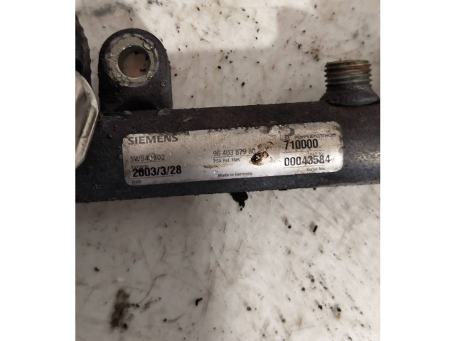 Vstřikovací lišta 9640387980, 00043584 Citroen Berlingo