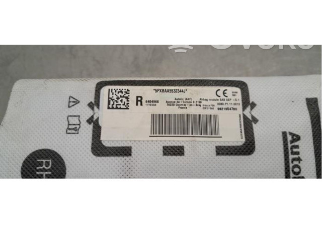 Подушка безопасности в сиденье 9821954780 Skoda Fabia Mk3 (NJ)