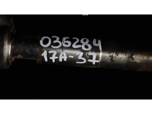 Форсунка 0445110955, 9828959880    Peugeot Partner III   