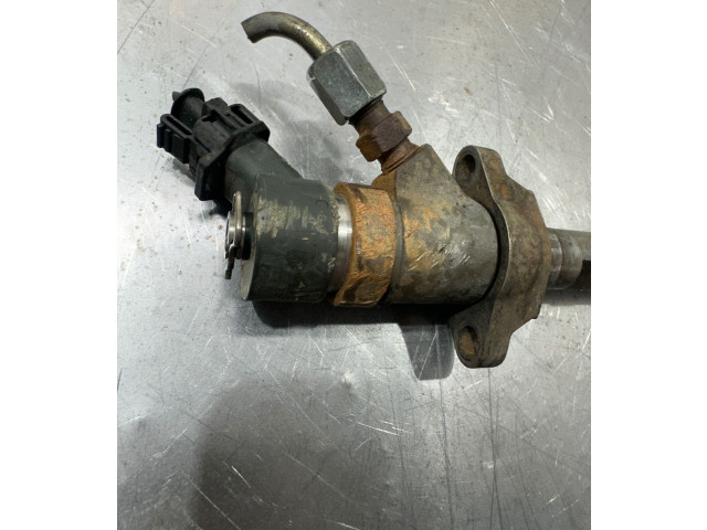 Форсунка 0445110239 Citroen Berlingo