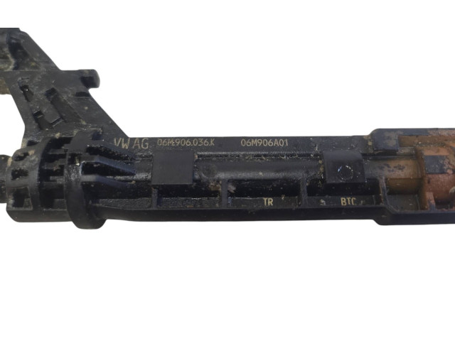 Форсунка 06M906036K, 06M906A01 Audi Q5 SQ5 CWG