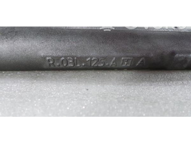 Топливная рампа 03L130089B, 03L906051 Volkswagen Golf VI