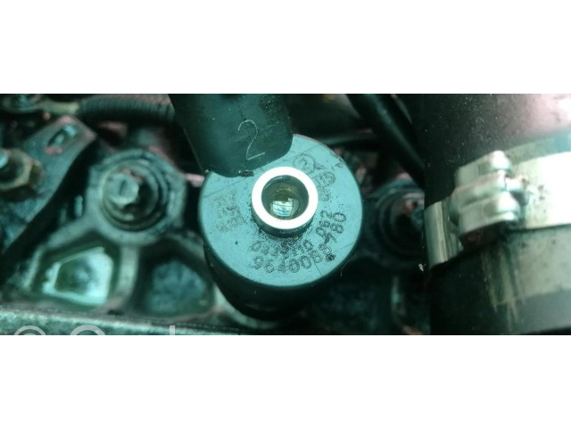 Vstřikovač 9640088780, 0445110062 Peugeot 406 pro naftový motor 2.0