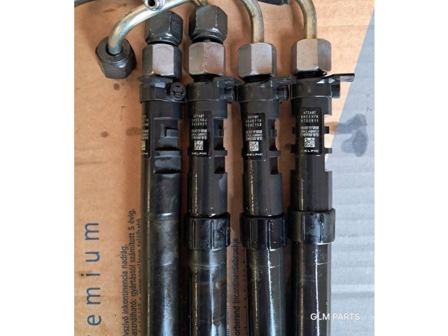 Комплект форсунок 9686191080 Citroen DS4