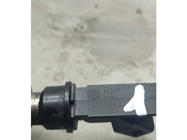 Форсунка 25313846    Opel Meriva A  Z16XE 