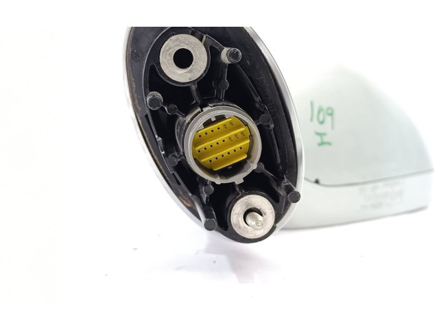 Zpětné zrcátko Renault Vel Satis 2002 E9014155